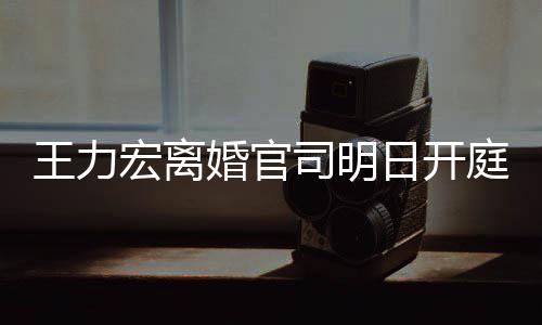 日开王力庭 多项对决证据宏离婚官均提司明双方
