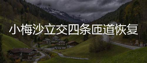 小梅车条匝道恢复通交四沙立